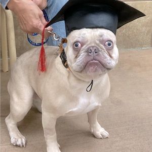 Meet your Posher, Rick